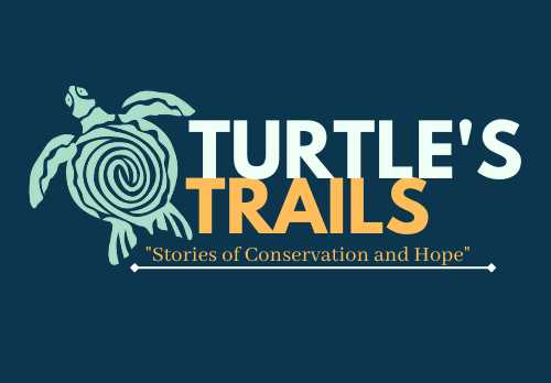 Turtle's Trails